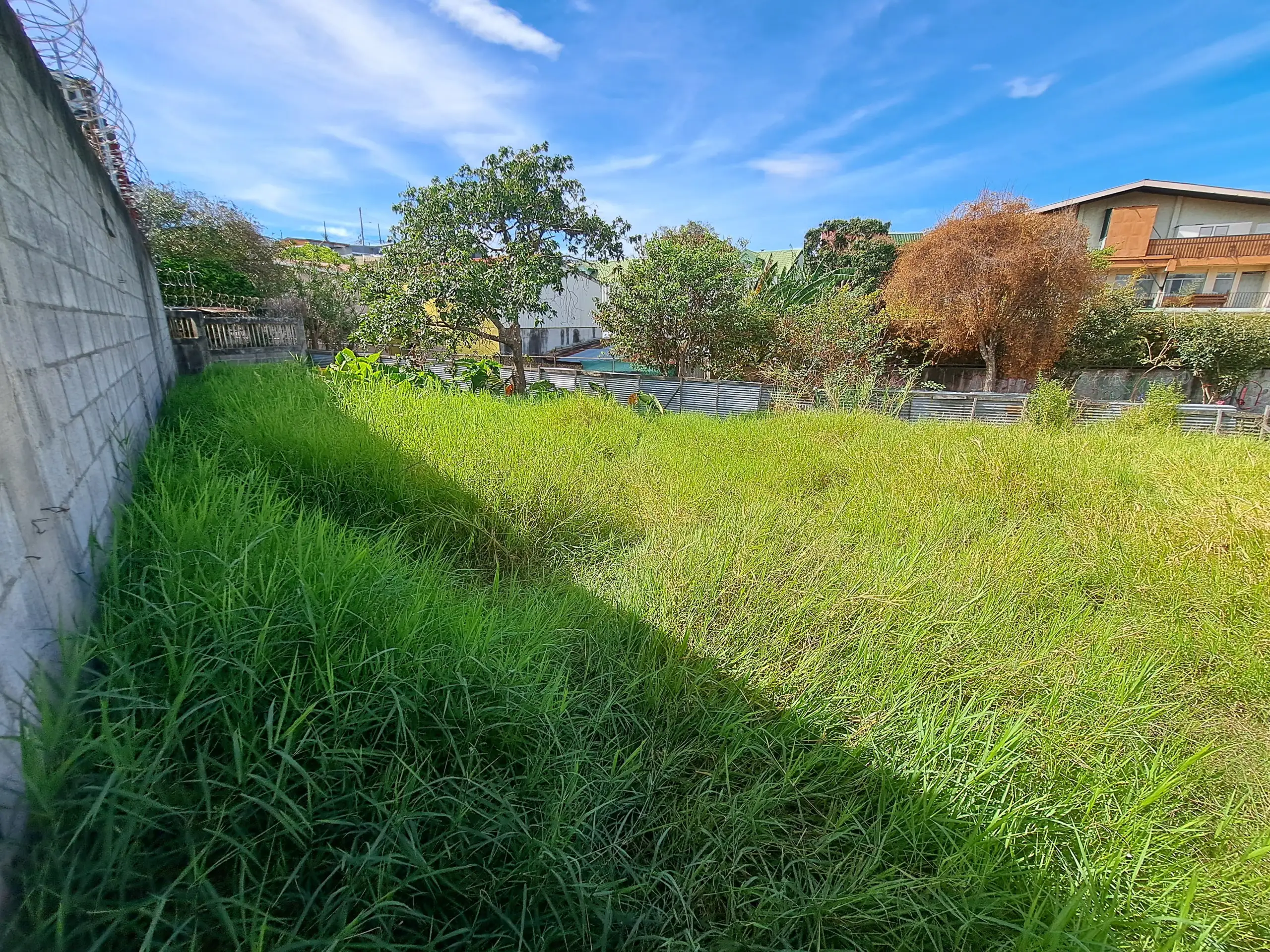 Lote en Zapote en venta, excelente precio, zona residencial SVL-23 — imagen 3