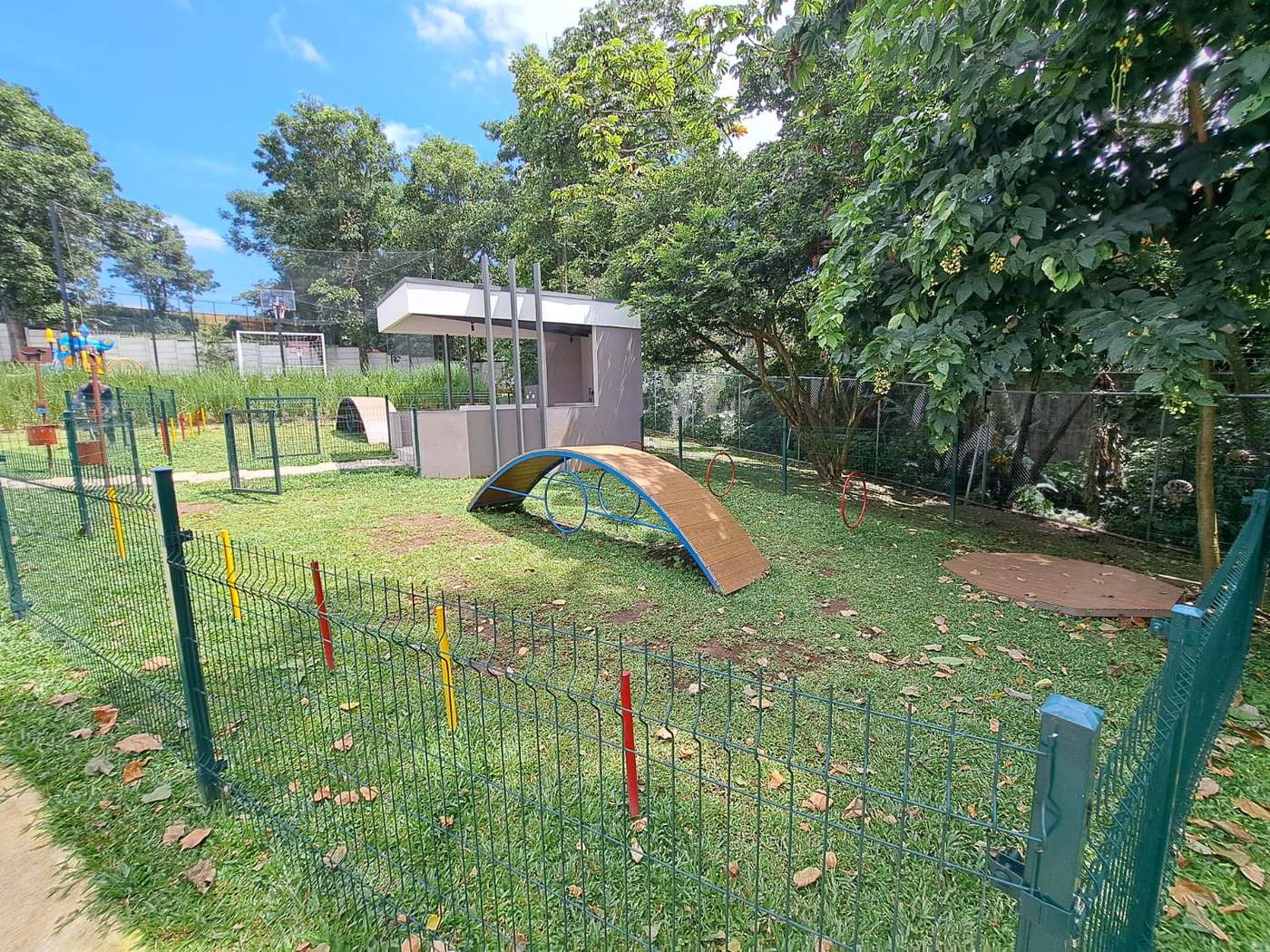 Casa en San Pedro en alquiler, totalmente amueblada, en condominio Bhora SCA-138 — imagen 16