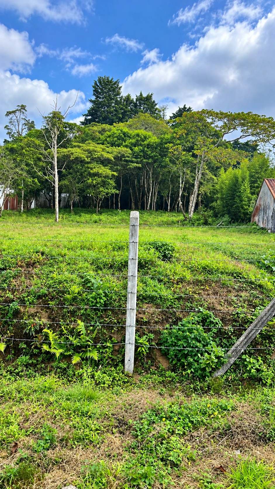 Terreno en San Ramón de La Unión en venta, listo para desarrollar tu proyecto!! SVL-24 — imagen 3
