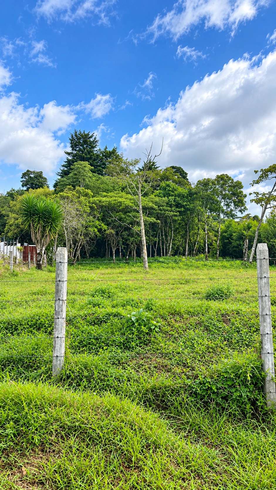 Terreno en San Ramón de La Unión en venta, listo para desarrollar tu proyecto!! SVL-24 — imagen 4