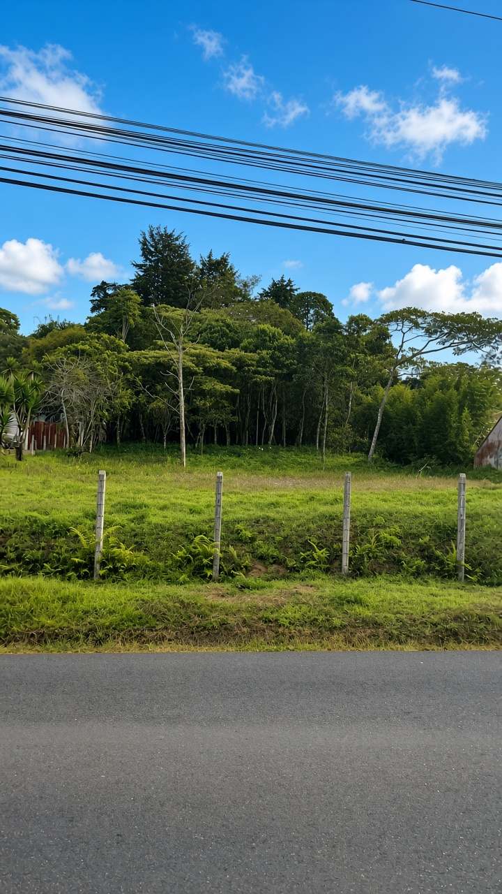 Terreno en San Ramón de La Unión en venta, listo para desarrollar tu proyecto!! SVL-24 — imagen 5